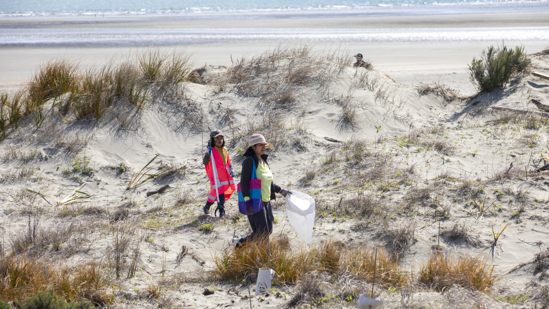 Volunteers on the beach